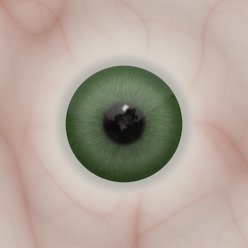 Product picture Ultra High Human Eyes Textures